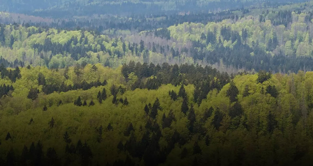 Epson Australia's Sustainability Report 2023-2024