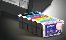 6 individual Epson Intellidge Ink cartridges