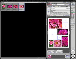 Epson Print Plug-In for Photoshop