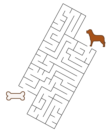 bone image