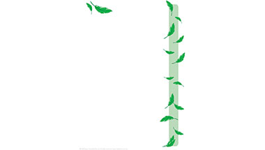 Leaves Stationery Paper
