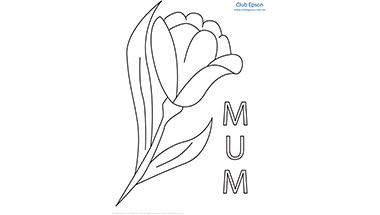 Tulip Colouring Sheet