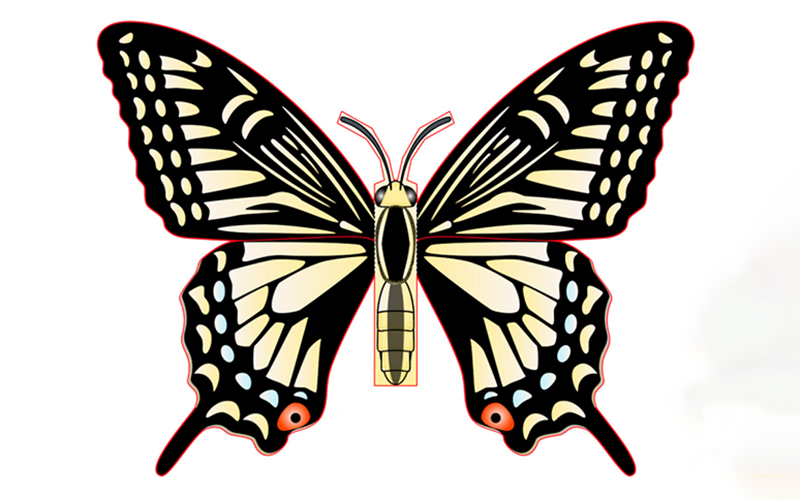 3D Butterfly